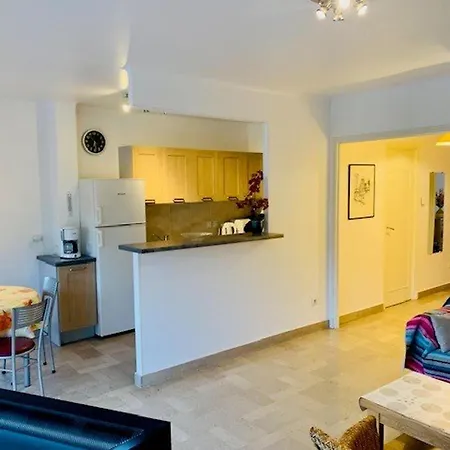 Apartment F2 Moderne Avec Wifi Et Garage A Amelie-les-bains - Fr-1-703-110