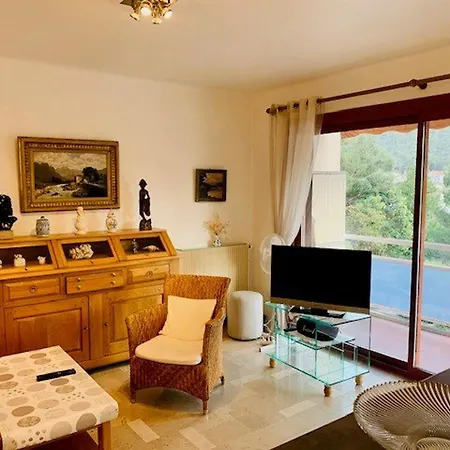 Apartment F2 Moderne Avec Wifi Et Garage A Amelie-les-bains - Fr-1-703-110 *